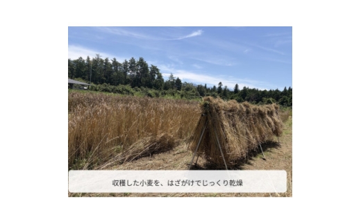 スペルト小麦精製粉【1775340】