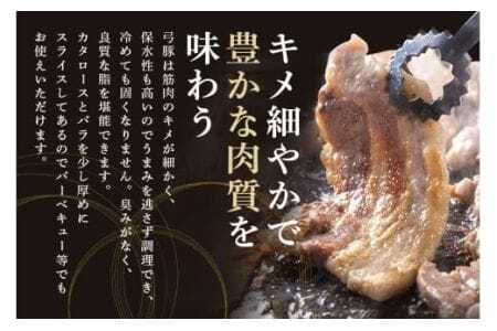 弓豚 焼肉 セット 2.4kg 豚肉 和豚 銘柄豚 肉 カタロース バラ 焼肉 バーベキュー 国産 高品質 希少 産地直送 ヘルシー 家庭用 ギフト 冷凍 【先行予約 2026年3月以降発送予定】 (