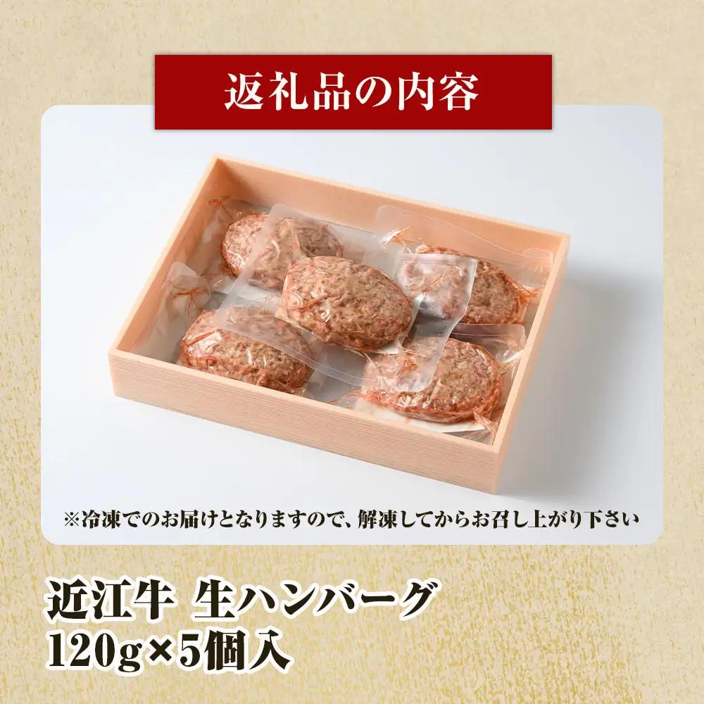 近江牛 生ハンバーグ 120g×5個入