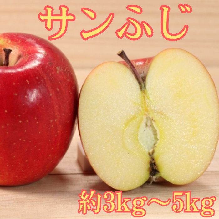 【ふるさと納税】りんご サンふじ 約3kg 長野県 信州 南信州 高森町 農家直送 旬のりんご くだもの 果物 旬の果物 大野農園【配送不可地域：離島】