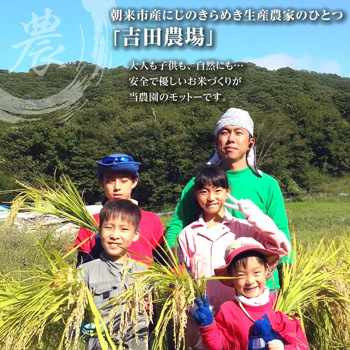 無洗米【定期便6回】にじのきらめき5kg R8年産 無洗
