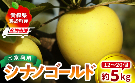 ＜産地直送＞ シナノゴールド 家庭用 約5kg（12～20個）りんご リンゴ 林檎 果物 フルーツ  F41-0082