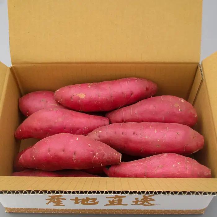 島根県飯南町産サツマイモ うやま農園のさつまいも　3.3㎏【さつまいも 生 紅はるか サツマイモ 生いも 農薬不使用 農家直送 】