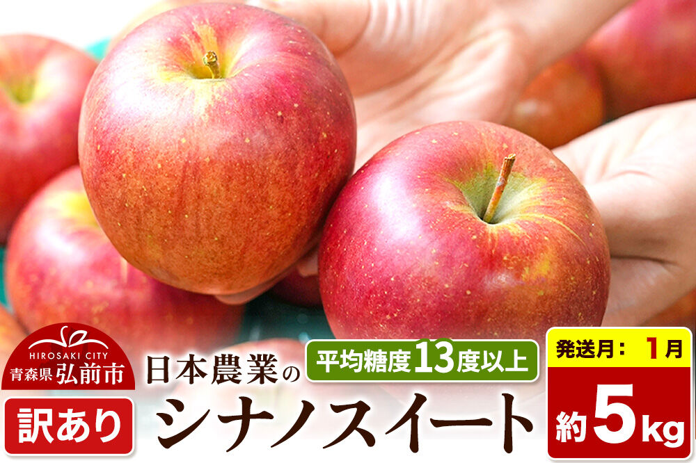 【27年1月発送】りんご シナノスイート【訳あり】約5kg 平均糖度13度以上 青森県 弘前市 果物 フルーツ 林檎 リンゴ くだもの 不揃い 規格外 [先行予約 家庭用 産地直送 アップル 青森県 弘前市]