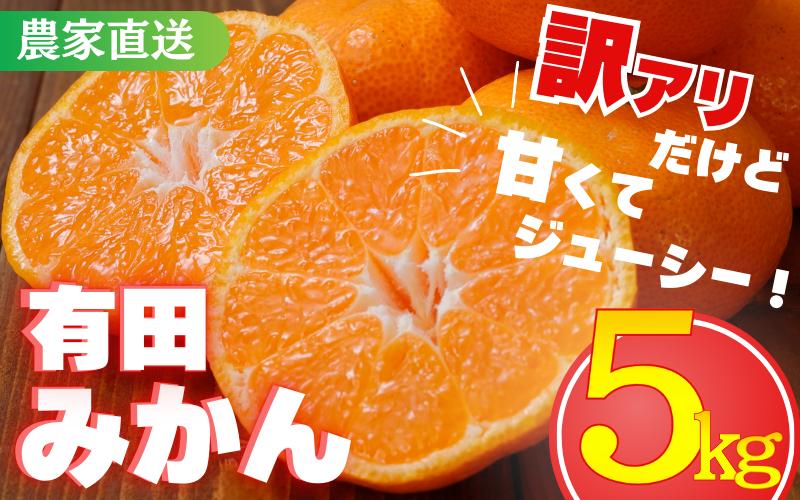 
            【訳あり】農家直送 有田みかん約5kg ご家庭用 サイズ混合 （お届け日指定不可）※2025年11月中旬より順次発送予定　※北海道・沖縄・離島への配送不可　訳ありみかん 温州みかん サイズ混合 有機質肥料100% ふるさと納税 柑橘 有田 産地直送 【nuk161B】
          
