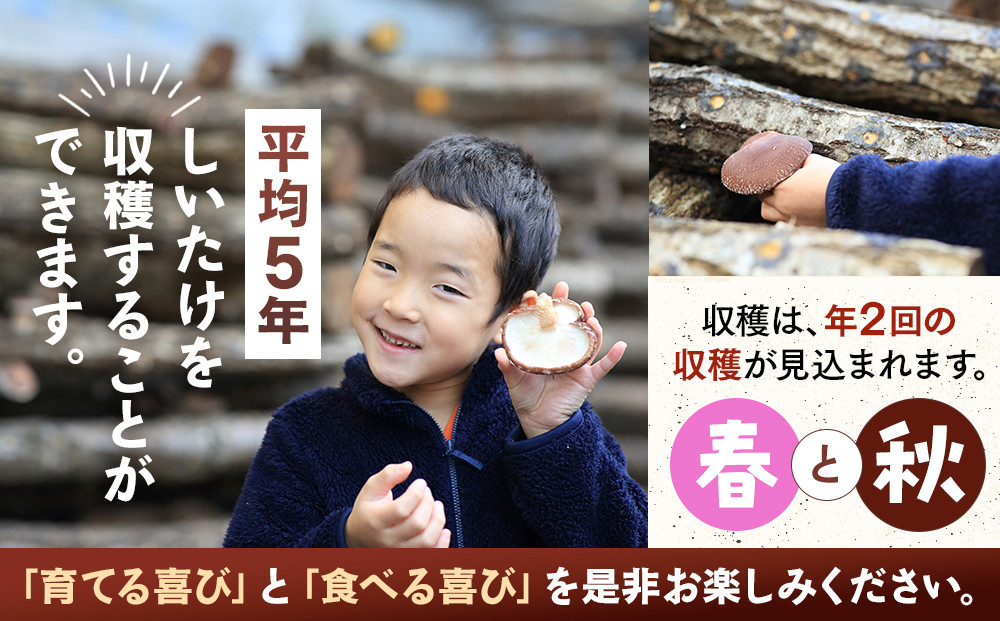 【自宅栽培】自分で育てる喜び！原木椎茸ほだ木　2本セット