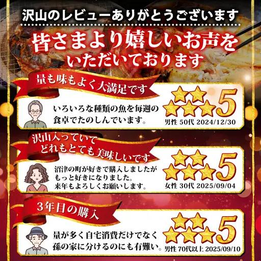 【2026年8月発送】 訳あり干物 約1.8kg 干物