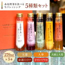 【ふるさと納税】【贈答用】糸島野菜を食べる生ドレッシング 5種類 5本 セット （ 人参 / 大根と大葉 / 玉葱 / 赤玉葱ジンジャー / トマトパプリカ ） 糸島市 / 糸島正キ [AQA047] 19000円