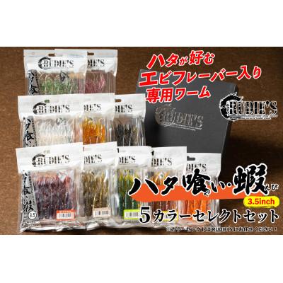 ふるさと納税 飯塚市 RUDIE‘Sのハタ喰い・蝦 3.5inch 5カラーセレクトセット(5袋) 釣り具 ルアー
