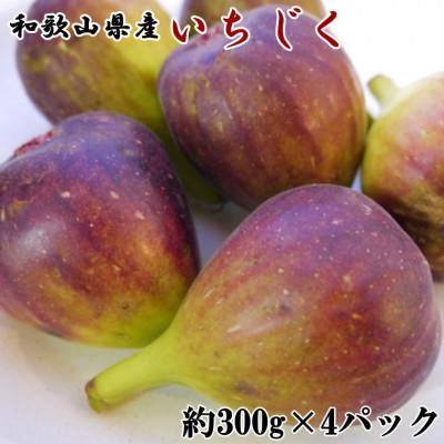 ふるさと納税 紀の川市 和歌山県産新鮮いちじく約300g×4パック入り