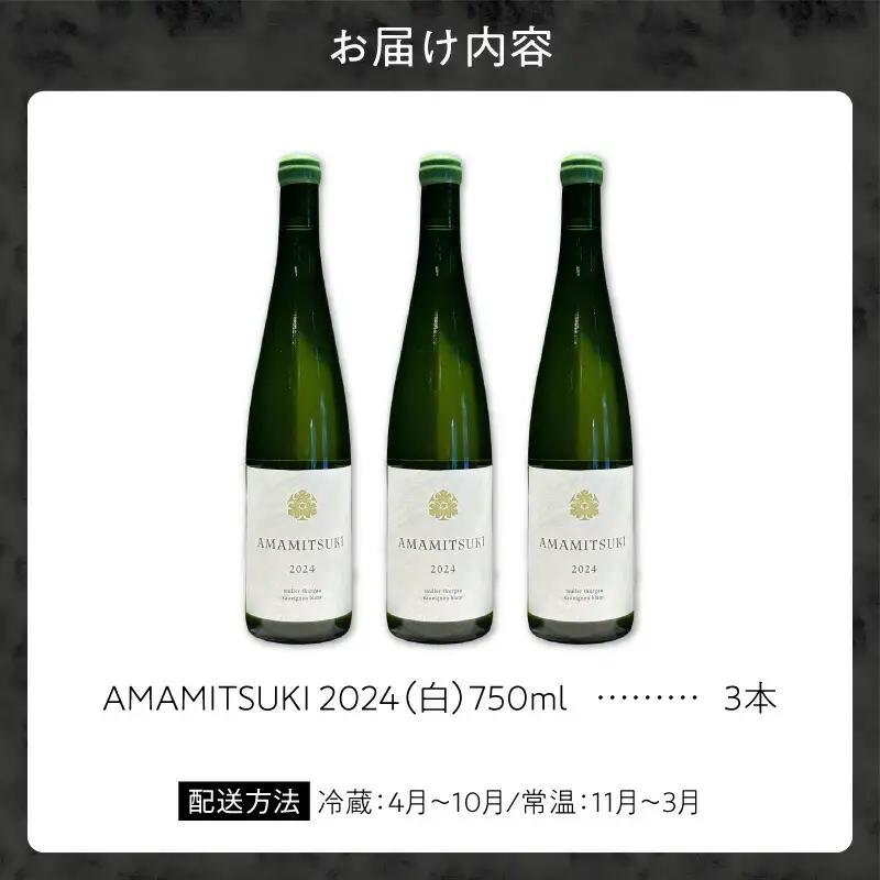 Yoichi LOOP ソムリエセレクト 余市町産ワイン AMAMITSUKI 2024【白】3本セット_Y055-0074