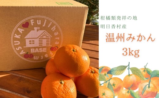 飛鳥　温州みかん　3kg【藤原農園】