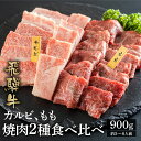 【ふるさと納税】最高級 飛騨牛 カルビ もも 焼肉用 450g×2種 計900g 部位 食べ比べ セット A4 A5 等級 白川郷 てんから 焼き肉 牛肉 簡易梱包 訳あり 訳アリ 40000円 4万円 [S178]