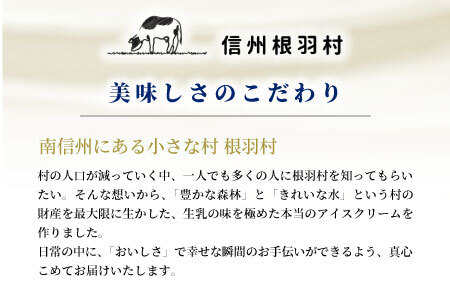 搾りたて生乳使用！ 生ソフトクリームアイス＆ブルーベリーアイス 8個セット アイスクリーム 5000円