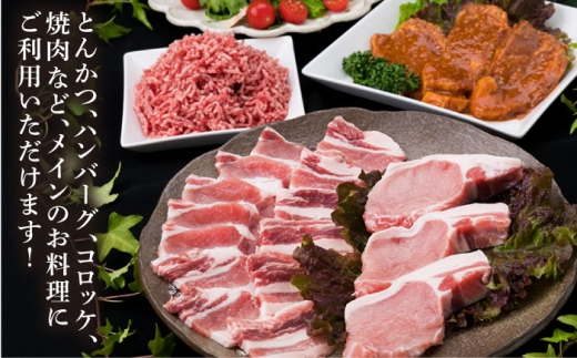【使いやすい豚肉＆牛肉セット】毎日のメインのおかずを彩る 精肉 セット 4種 計約2�s 5〜6人前《糸島》【糸島ミートデリ工房】 [ACA204]