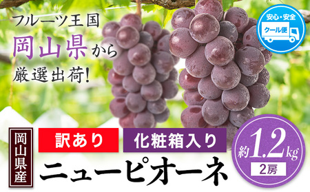 訳あり ニューピオーネ 約1.2kg《9月中旬-11月上旬頃出荷(土日祝除く)》｜ピオーネピオーネピオーネ
