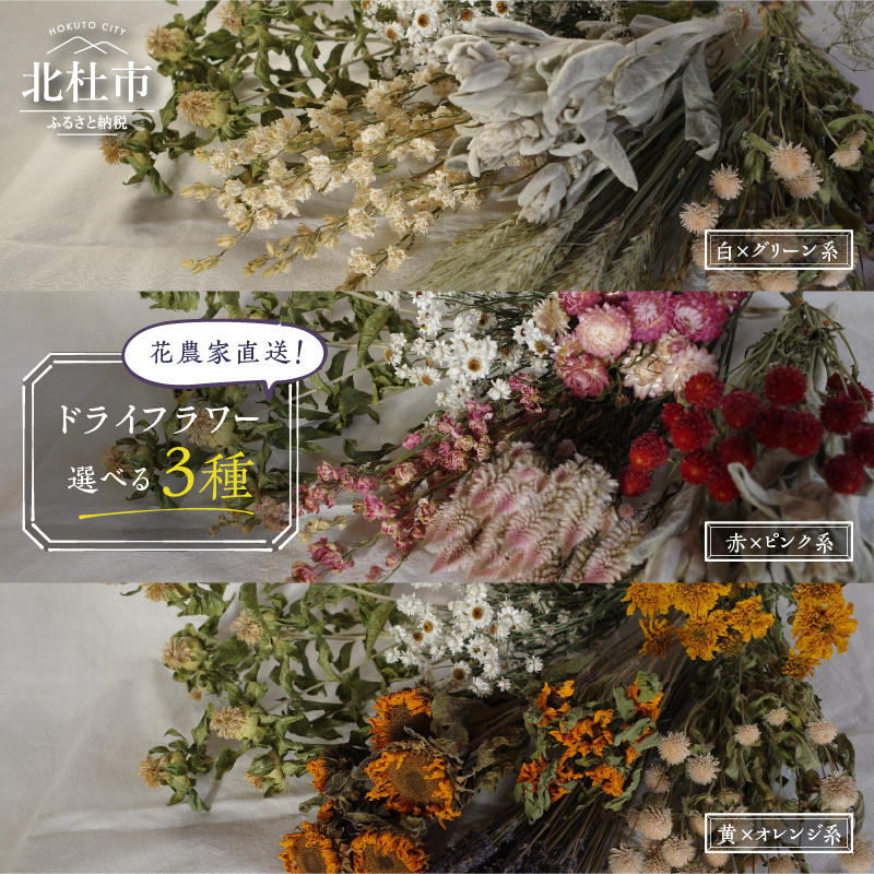 花農家直送！ドライフラワー選べる3種厳選セット