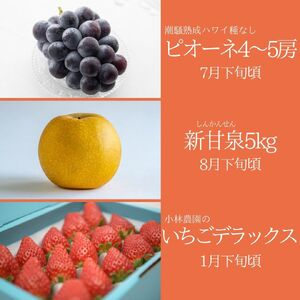 フルーツ 定期便 3種 果物 鳥取県産 ゆりはま 4 | 38M