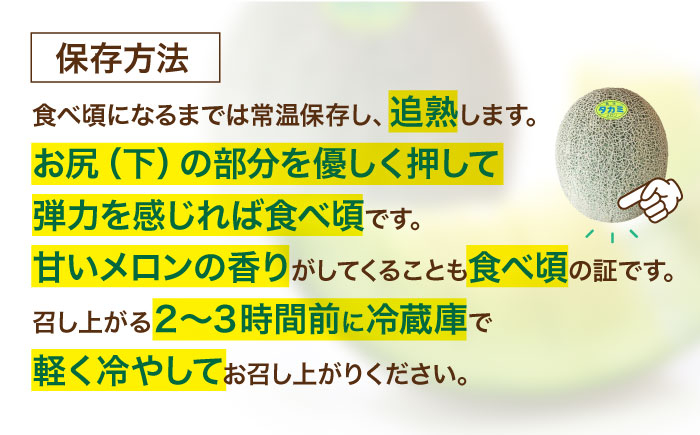 メロン めろん タカミ 小玉 こだま 貴味 青肉 果物 くだもの 旬 2025 フルーツ 高級 デザート 2玉 3玉 先行予約