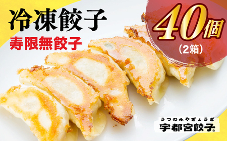 宇都宮餃子 寿限無 餃子20個入り×2箱　※離島への配送不可