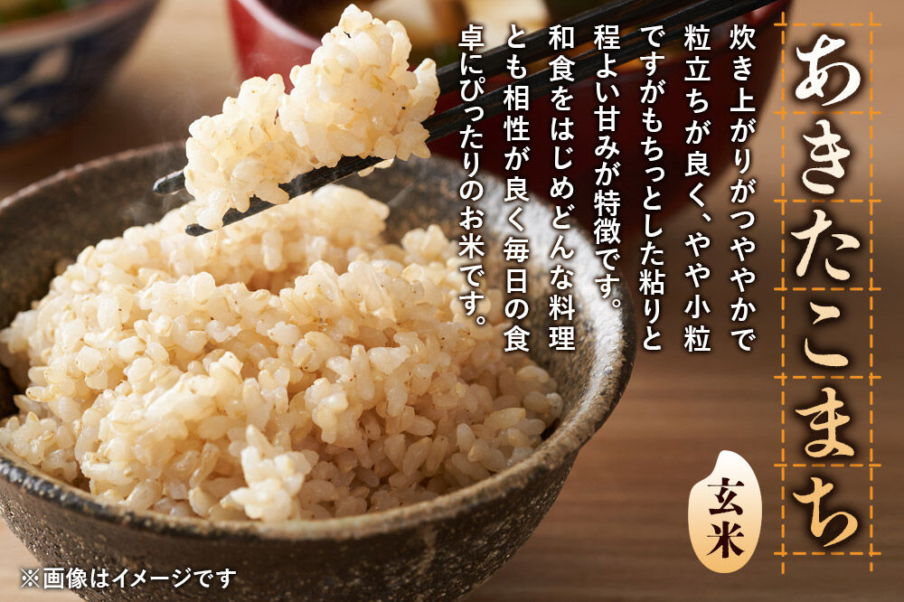 《令和8年産 新米受付》【玄米】極上秋田銘柄米 あきたこまち 5kg [米 お米 こめ 玄米 あきたこまち ブランド米 銘柄米 食卓 おにぎり 秋田県産 秋田県 由利本荘市]