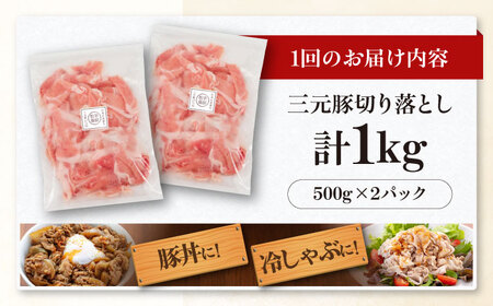 【全3回定期便】 三元豚 切り落とし 計1kg（500g×2パック） 《喜茂別町》【平田牧場】 肉 豚肉 生姜焼き 小分け 冷凍 冷凍配送 定期便[AJAP031]