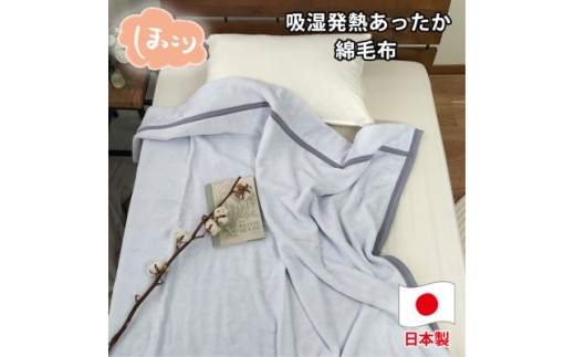 ＜シングルサイズ＞『ほっ』とするやさしい暖かさの綿毛布  SH-36902S【1644249】