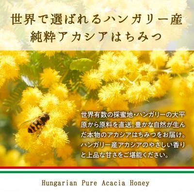 ふるさと納税 高石市 ハンガリー産　アカシアはちみつ(純粋蜂蜜)　500g×2本 |  | 01