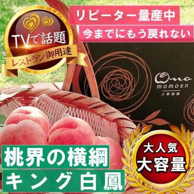 《桃界の横綱キング白鳳》人気品種指定ギフト4年連続TV出演話題ブランド桃2026年7月上旬発送【配送不可地域：離島・北海道・沖縄県・中国・四国・九州】