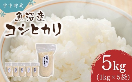 【コシヒカリ 5kg】令和7年産 魚沼産コシヒカリ 雪中貯蔵米 精米5kg（1kg×5袋）アグリたかの | 魚沼産こしひかり 魚沼コシヒカリ 新潟県産コシヒカリ 新潟産コシヒカリ 新潟県産こしひかり こしひかり 特A評価 雪中貯蔵米 お米 米 白米 精米 ブランド米 おこめ コメ 5キロ にいがた おぢや 新潟県 小千谷市 【0055-0008-01】