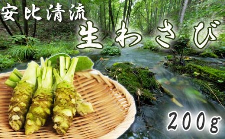 岩手県産 生わさび 200g 【安比清流山葵園】 ／ 山葵 ワサビ わさび 薬味 国産 八幡平市産 産地直送 新鮮 調味料 刺身 ステーキ お肉 蕎麦 和え物 漬け物 刻み おろし 辛味 和食 お寿司 そば 肉の薬味 魚の薬味 そばの薬味 料理 おすすめ オススメ