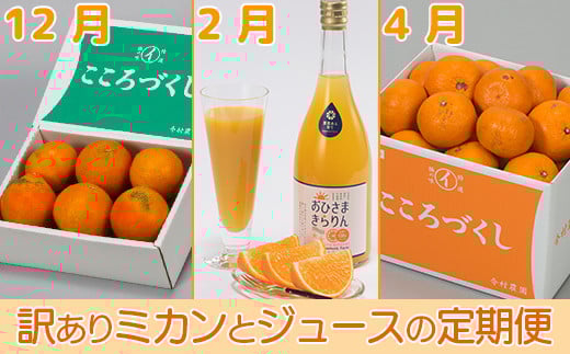 
            今村農園の訳ありミカンとジュースの定期便（１２月・２月・４月）【まんぞくコース】＜107-801_7＞
          