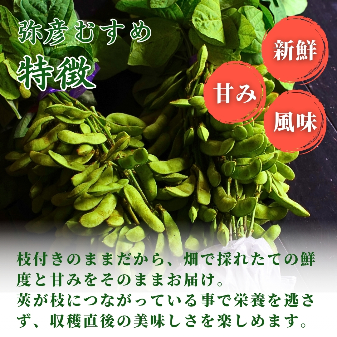 《先行予約》 初夏の香をお届けします。弥彦村産「弥彦むすめ」枝付き枝豆 2把(約1kg)