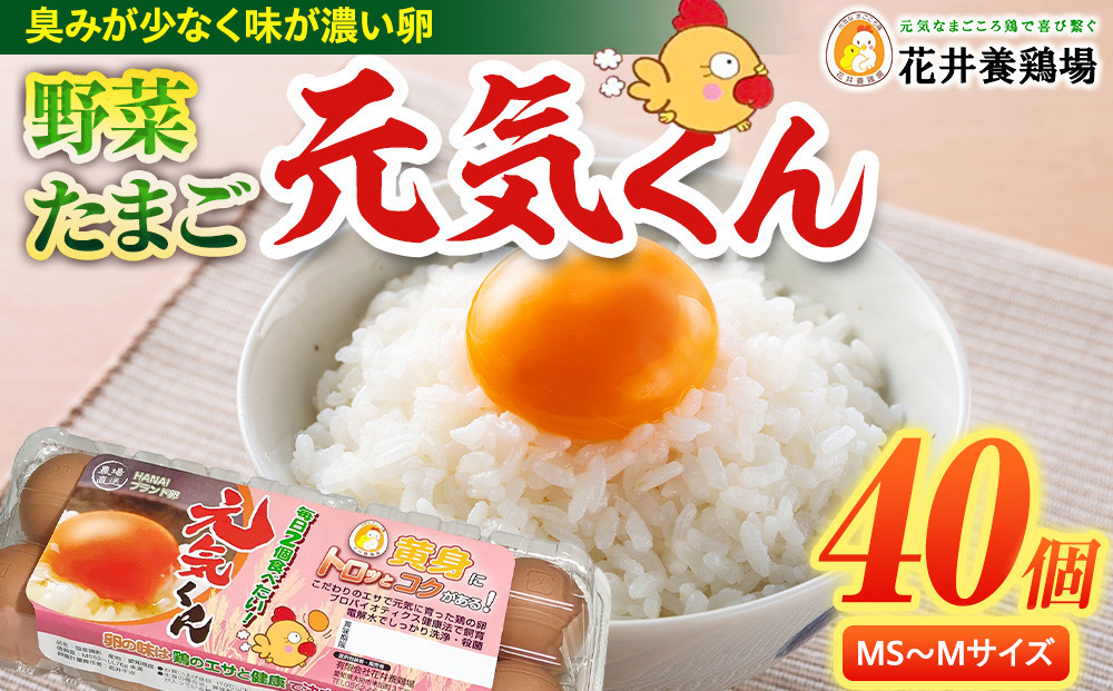 愛され続けて30年 「野菜たまご 元気くん」（40個） 日々のお料理がワンランクアップ!! 232238_EE25