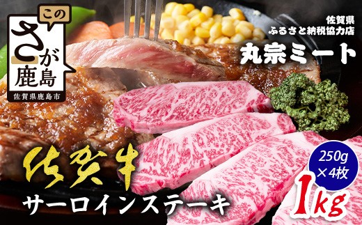 
                  佐賀牛 サーロインステーキ 250g×4枚 計1000g ブランド牛 ステーキ 精肉 E-185
                