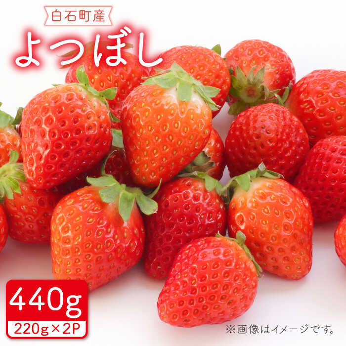 【ふるさと納税】【先行予約】その美味しさ四つ星級！新品種「よつぼし」220g×2パック【岸川農園】いちご イチゴ 苺 果物 フルーツ 佐賀県 白石町 [IAP009]