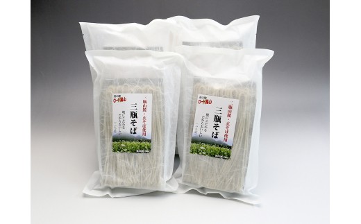 
ロード銀山特製三瓶そばセット【そば 蕎麦 三瓶そば 細麺 詰め合わせ セット】
