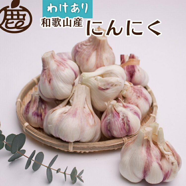 【ふるさと納税】＜5月より発送＞ 家庭用 生にんにく 選べる内容量 500g・1kg・2kg