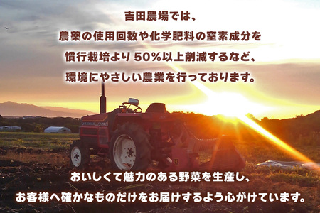 うんまいじゃがいも 20kg (2種類以上の詰め合わせ) [数量限定／期間限定] 8月中旬より順次発送｜じゃがいも ジャガイモ ポテト 馬鈴薯 とうや ノーザンルビー レッドムーン メークイン 産地直