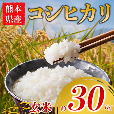 コシヒカリ 約30kg(玄米) 阿蘇アグロスタイル【1748203】