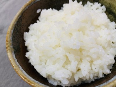 【新米】令和7年産　近江米 秋の詩【10kg（5Kg×2袋）】環境こだわり米【AB60U1】