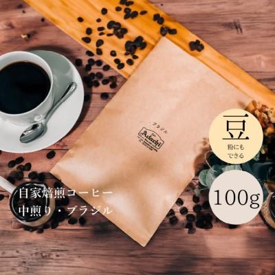 ふるさと納税 関市 ブラジル 100g (約10杯分) カフェ・アダチ |  | 03