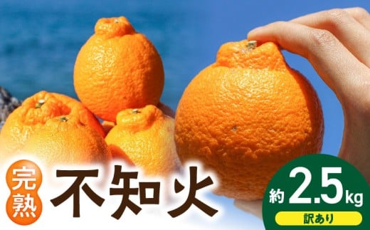EA6020n_【2027年先行予約】【訳あり・ご家庭用】 和歌山県産 完熟 不知火 2.5kg 甘酸っぱい味わいと芳醇な風味がたまらない高級柑橘!