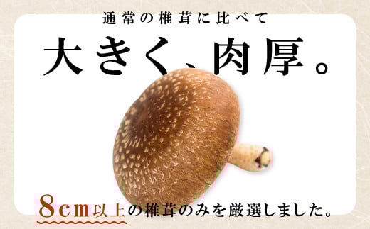 通常の椎茸に比べて大きく、肉厚。
8cm以上の椎茸のみを厳選しました。
