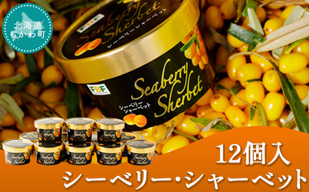 シーベリー・シャーベット(12個入) 【 ふるさと納税 人気 おすすめ ランキング シーベリー サジー シャーベット スイーツ デザート 氷菓 北海道 むかわ町 送料無料 】 MKWH001