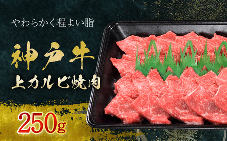 神戸牛 上カルビ焼肉 250g (AG036) 兵庫県 朝来市 AS36BB53 / 神戸牛 神戸ビーフ 神戸肉 黒毛和牛 国産和牛 ブランド和牛 牛肉 牛 肉 お肉 おにく 焼肉 焼き肉 焼肉用 焼き肉用 カルビ 上カルビ BBQ バーベキュー 牛カルビ カルビ肉