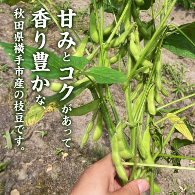 ふるさと納税 横手市 つくり手の顔が見える、新鮮枝豆 1.5kg(250g×6袋)秋田県横手市産 |  | 01