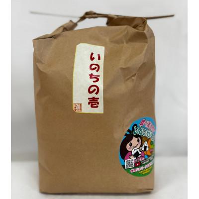 ふるさと納税 糸魚川市 新潟県産 糸魚川産 令和7年産 いのちの壱 100% 精米 3kg 新米