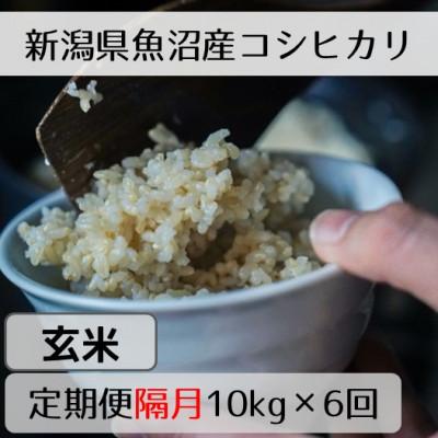 ふるさと納税 十日町市 【2ヵ月毎定期便】新潟県魚沼産コシヒカリ「山清水米」玄米10kg全6回