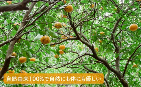 【全3回定期便】農香 ばぁむ クリーム 糸島市 / わかまつ農園[AHB026] 保湿クリーム しっとりクリーム スキンケア ハンドケア
